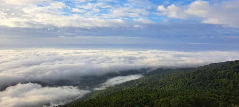 ทะเลหมอกเขาหลวง (ภาพจาก: Facebook อุทยานแห่งชาติรามคำแหง - Ramkhamhaeng National Park 1 มิ.ย. 68) 