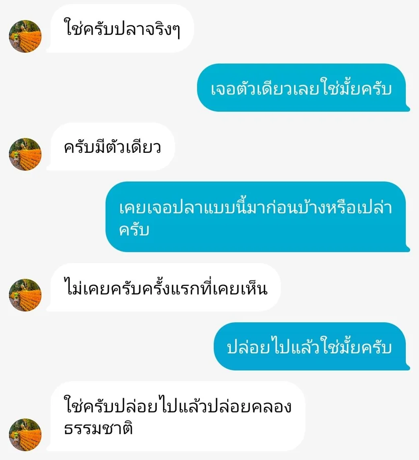 ภาพบันทึกหน้าจอแสดงข้อความที่เจ้าของบัญชี TikTok ระบุว่าปลาดังกล่าวเป็นปลาจริง