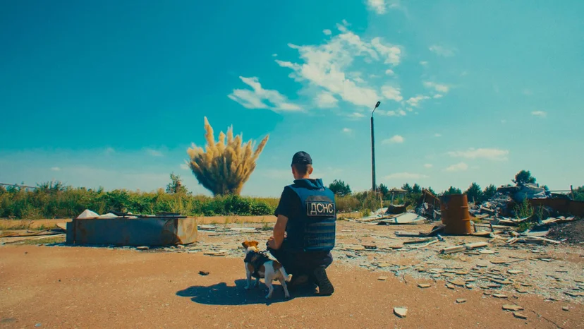 ภาพจากสารคดี US, Our Pets and The War