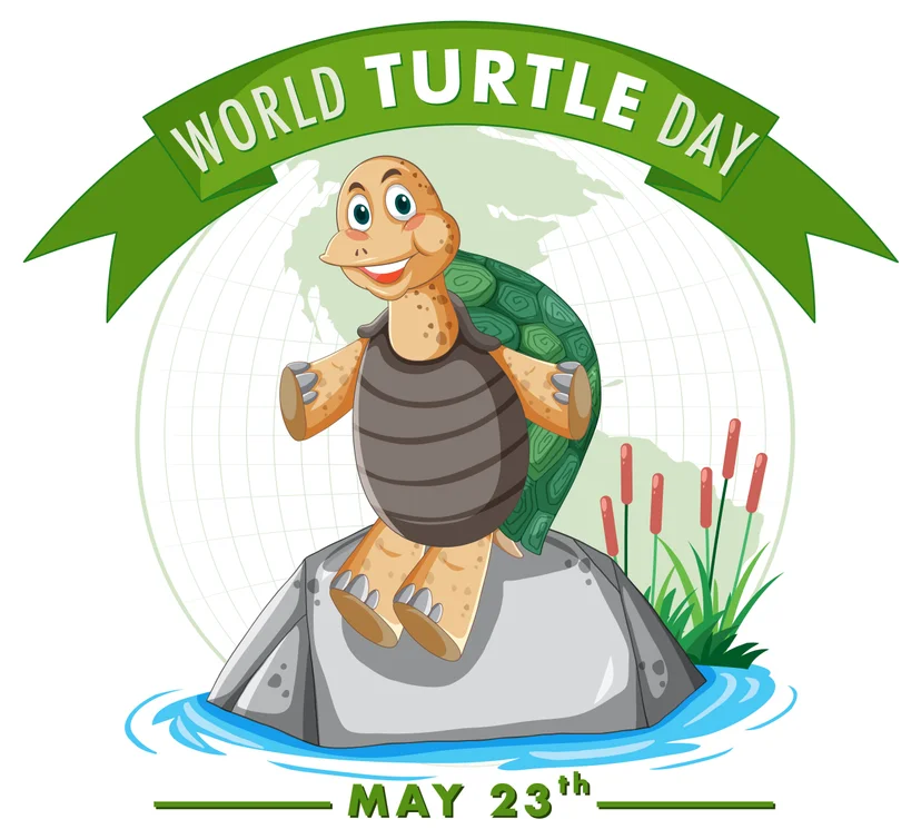 “วันเต่าโลก” (World Turtle Day)