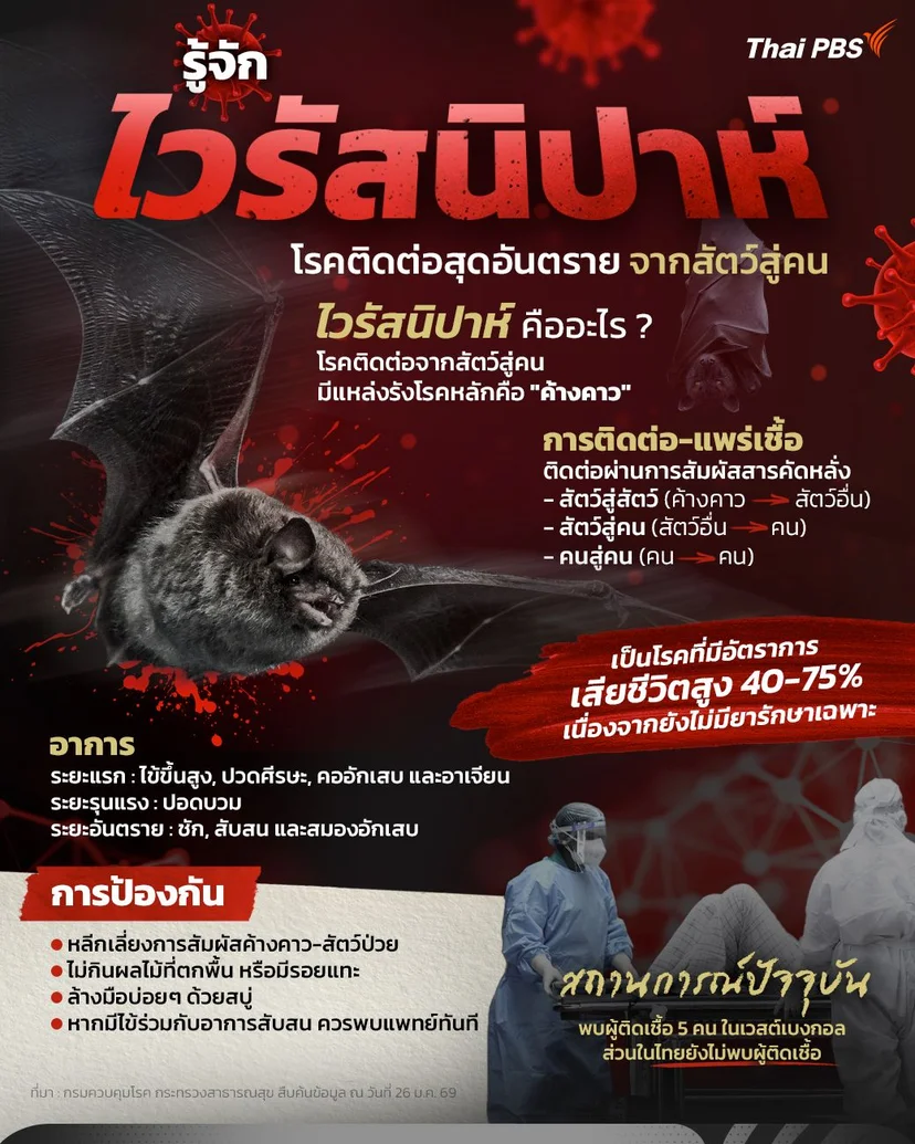 รู้จัก ไวรัสนิปาห์ โรคติดต่อสุดอันตรายจากสัตว์สู่คน