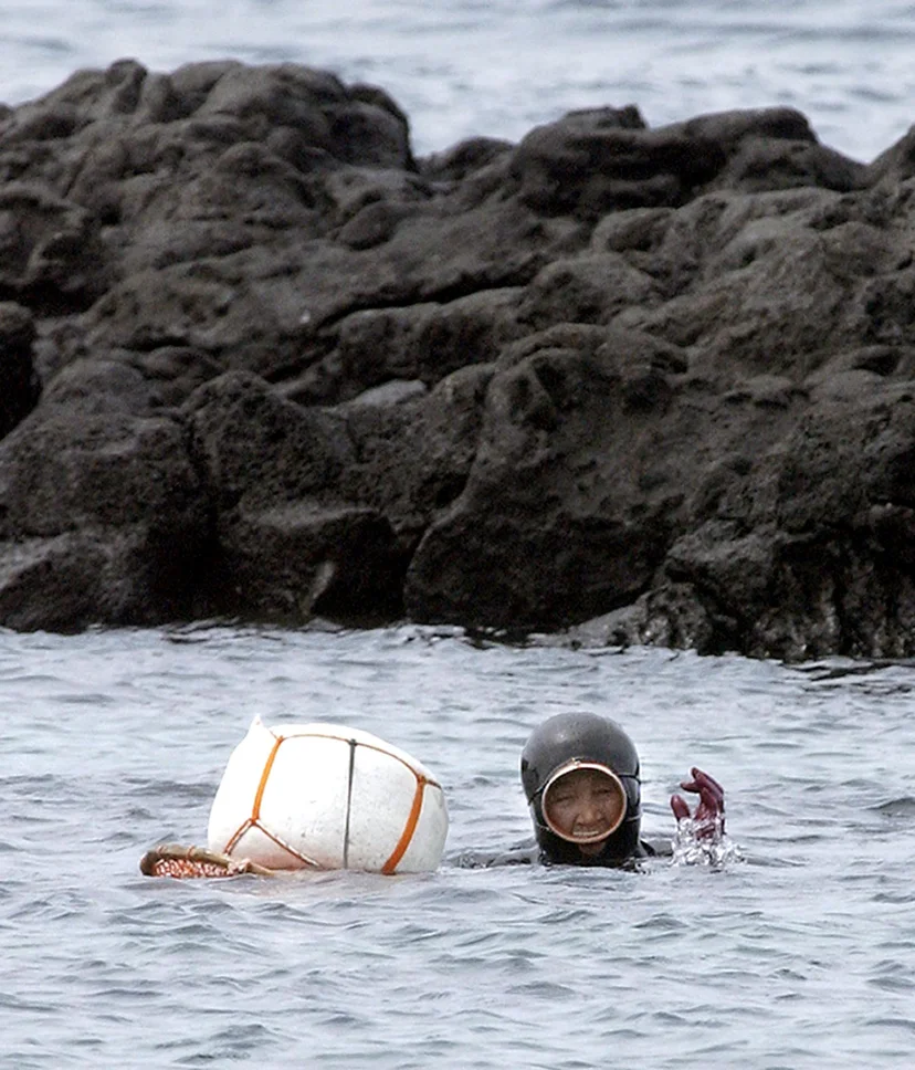 แฮนยอจับสัตว์ทะเลในท้องทะเลเชจู - ที่มา : AFP
