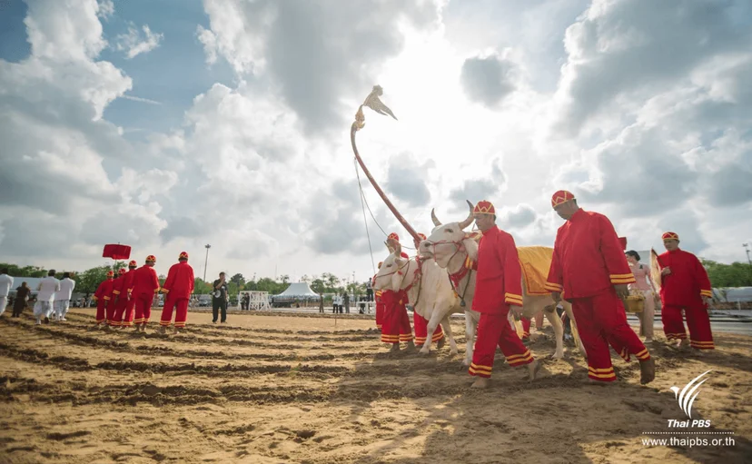 ภาพบรรยากาศเตรียมพร้อมพระราชพิธีจรดพระนังคัลแรกนาขวัญ.png
