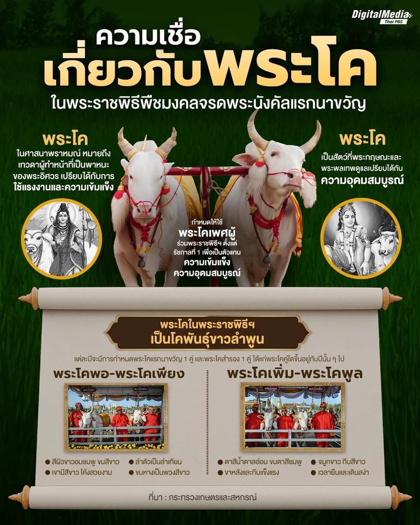 ความเชื่อเกี่ยวกับพระโค.jpg