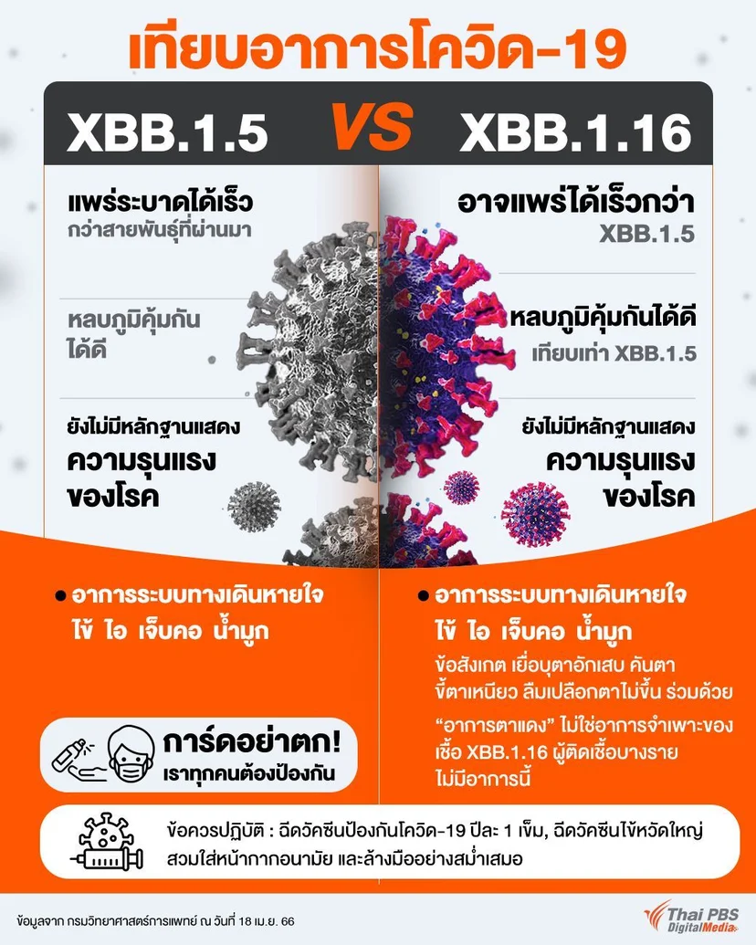 เทียบอาการโควิด-19 สายพันธุ์ XBB.1.5 vs XBB.1.16