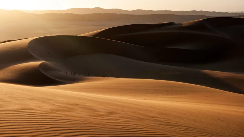 ภาพจากสารคดี Eden: Untamed Planet