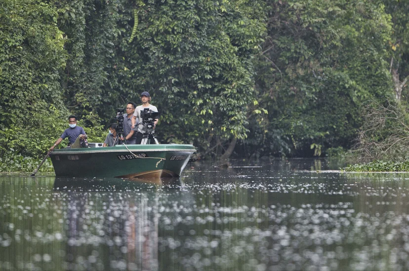 ภาพจากสารคดี Eden: Untamed Planet