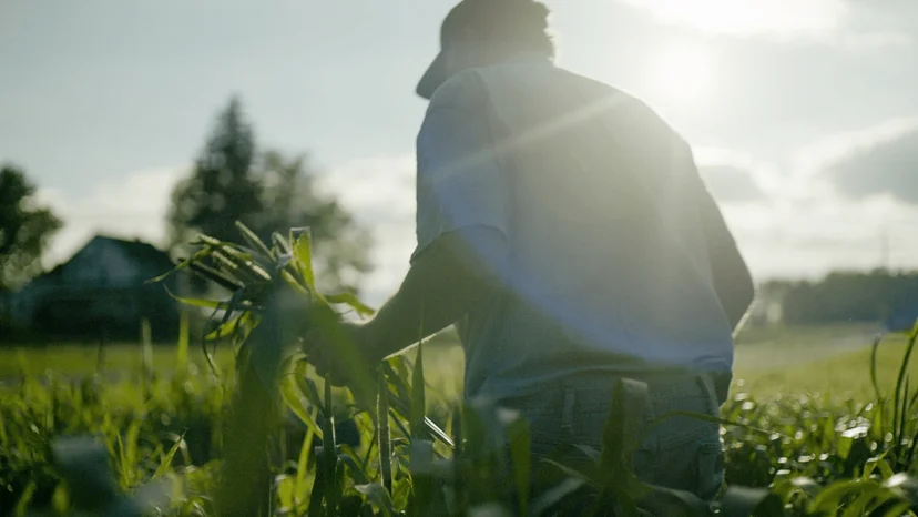 ภาพจากสารคดี Wasted! The Story of Food Waste การเดินทางของ "สูญอาหาร"