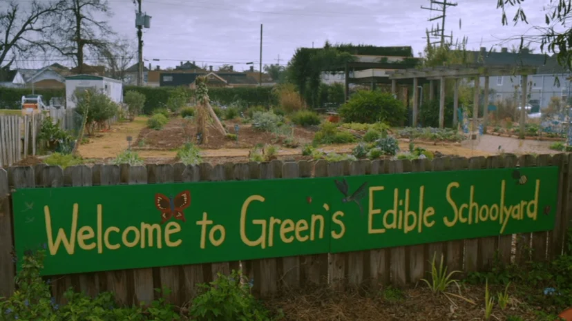 ภาพจากสารคดี Wasted! The Story of Food Waste การเดินทางของ "สูญอาหาร"