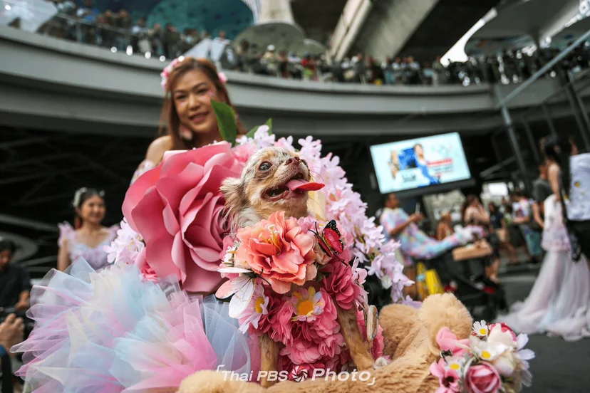 pride024.png