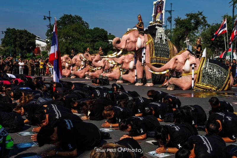 &ldquo;คชลีลา&rdquo; ขบวนคชสารคู่แผ่นดิน 11 เชือก น้อมรำลึกพระมหากรุณาธิคุณ &ldquo;สมเด็จพระพันปีหลวง&rdquo;