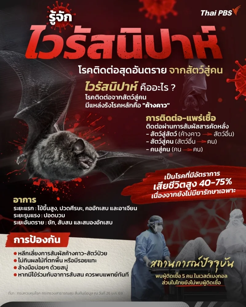 รู้จัก ไวรัสนิปาห์ โรคติดต่อสุดอันตรายจากสัตว์สู่คน