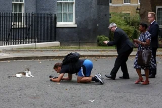 แมวแลร์รีกำลังนอนโพสต์ท่าให้ถ่ายภาพ เมื่อเดือนสิงหาคม 2566 (ภาพ: Susannah Ireland/AFP)