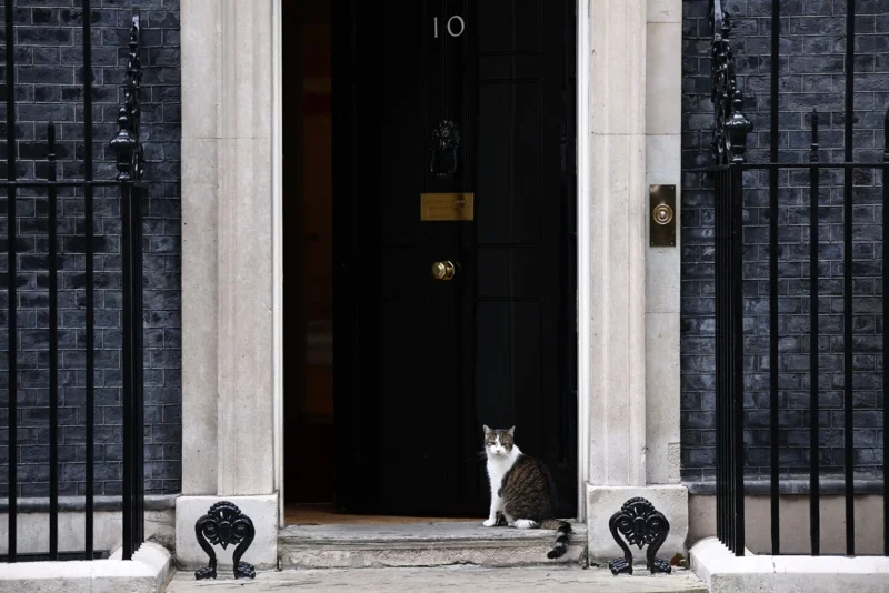 แมวแลร์รียังคงทำรับใช้สหราชอาณาจักร ณ บ้านเลขที่ 10 (ภาพ: Henry Nicholls/AFP)