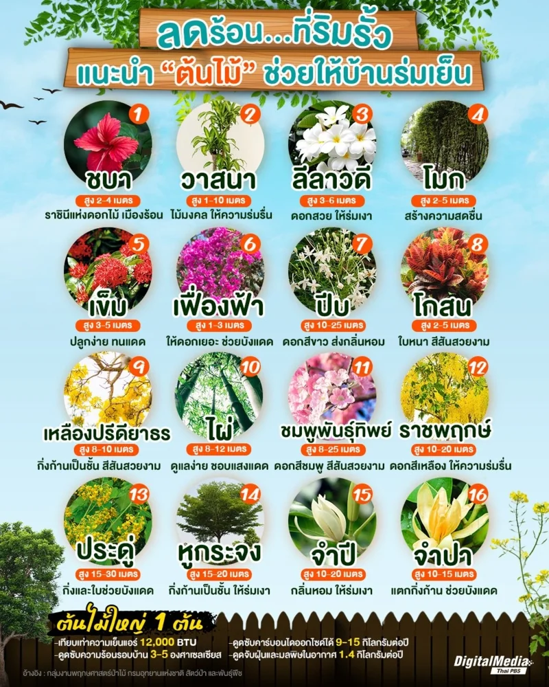 รวม 16 พรรณไม้ ช่วยคลายความร้อนให้บ้าน