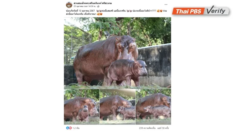 ภาพถ่ายหน้าจอโพสต์เฟซบุ๊กของสวนสมเด็จพระศรีนครินทร์ ศรีสะเกษ เมื่อวันที่ 22 ตุลาคม 2567