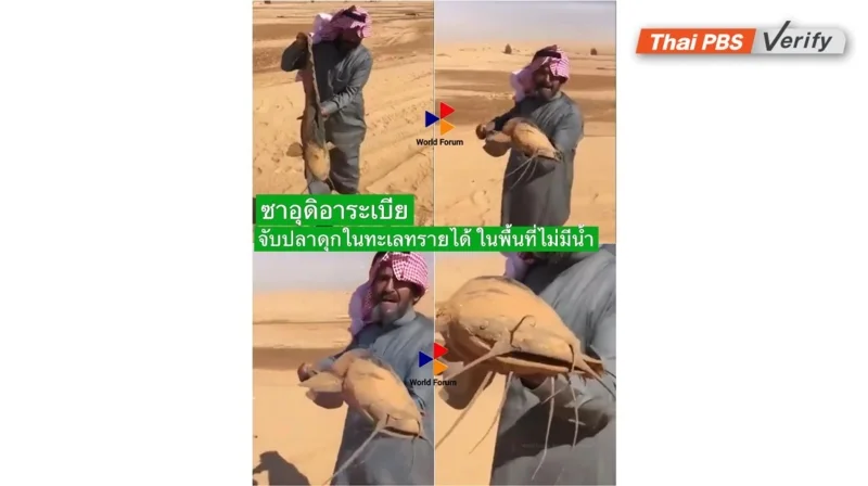 ชายชาวซาอุดิบาระเบียจับปลาดุกได้กลางทะเลทราย