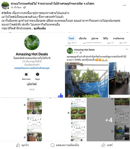 ภาพบันทึกหน้าจอแสดงภาพโพสต์สวนฉวีวรรณพันธุ์ไม้ จำหน่ายกล้าไม้ป่าเศรษฐกิจทุกชนิด จ.ยโสธร เตือนประชาชนอย่าหลงเชื่อ
