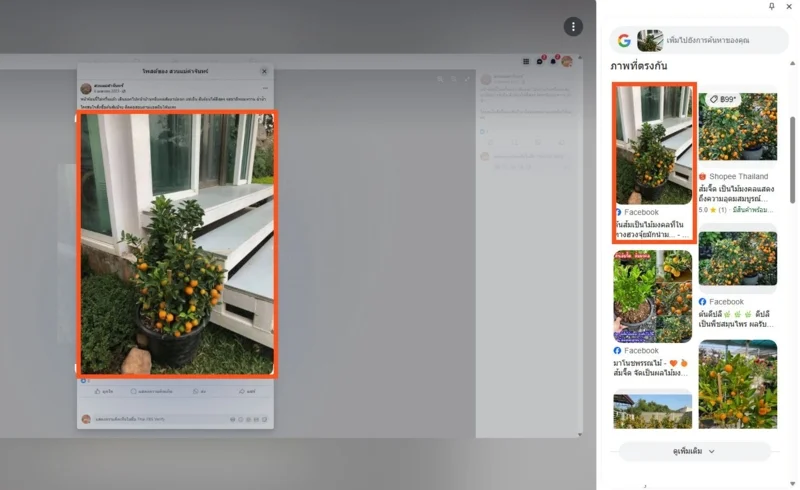 ภาพบันทึกหน้าจอแสดงโพสต์ของเพจ "สวนแม่คำจันทร์" (ซ้าย) ซึ่ง Google Lens พบว่าตรงกับภาพจากโพสต์ของเพจ "ฮวงจุ้ยอาจารย์หม่า" (ขวา)