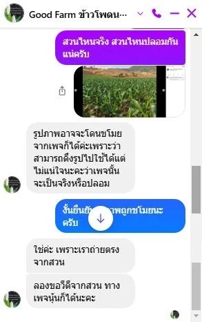 ภาพบันทึกหน้าจอแสดงข้อความจากเพจเฟซบุ๊ก "Good Farm ข้าวโพดนมสดฮอกไกโด" ยืนยันว่าเป็นภาพจากเพจที่ได้โพสต์ไว้เมื่อวันที่ 13 พฤษภาคม 2024