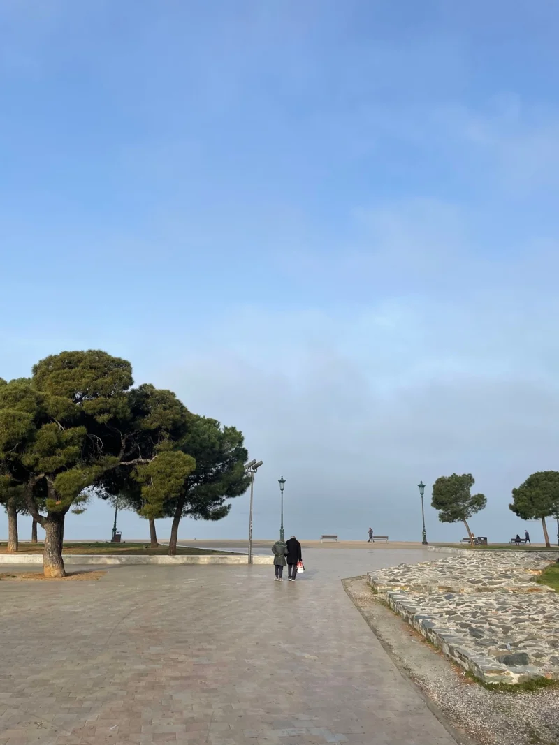 An elderly couple I often met while jogging in the morning