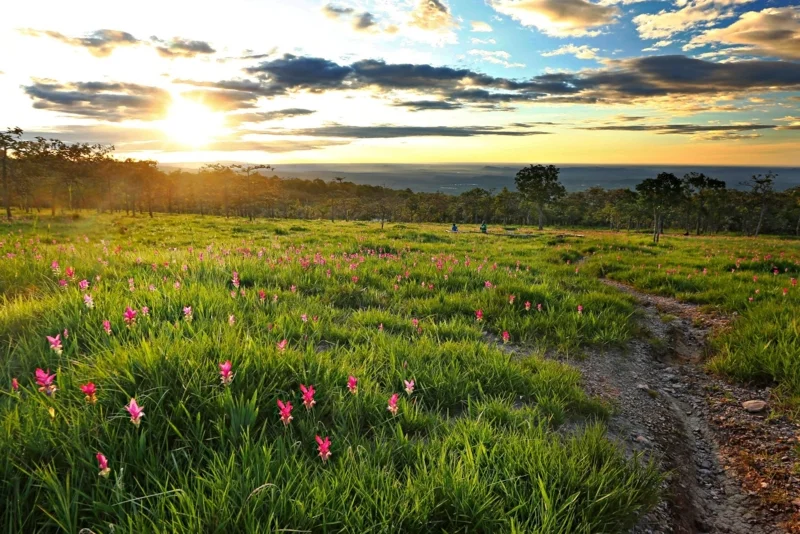 อุทยานแห่งชาติเขาใหญ่ ภาพจากเฟซบุก ททท.สำนักงานนครราชสีมา