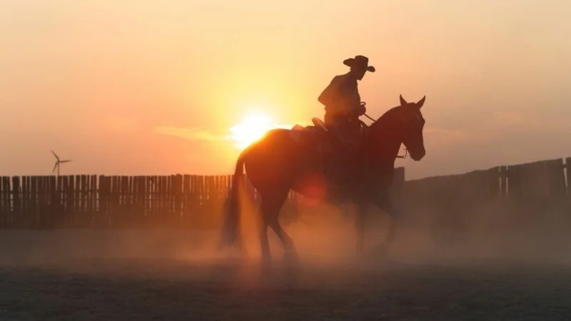 ภาพจากสารคดี Horse Power - American Legacies