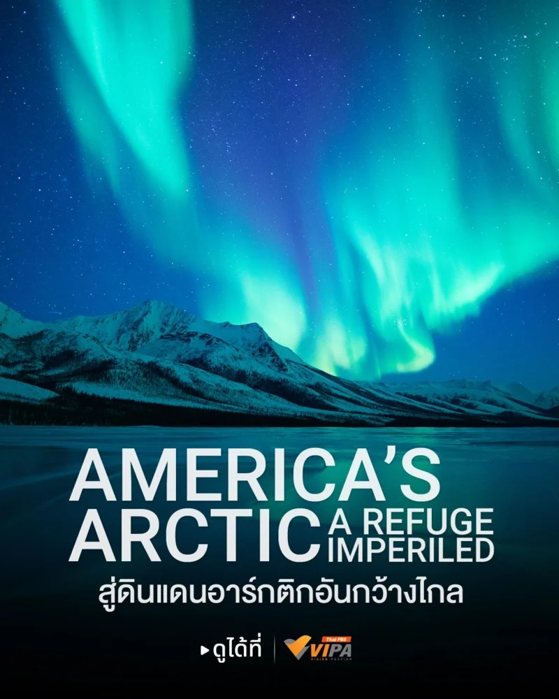 ภาพจากสารคดีเรื่อง America's Arctic - A Refuge Imperiled สู่ดินแดนอาร์กติกอันกว้างไกล