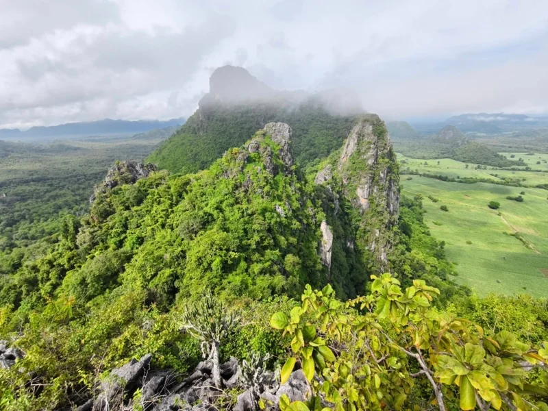 Untouched nature of Si Chomphu (Photo : Facebook เที่ยววิถีสีชมพู)