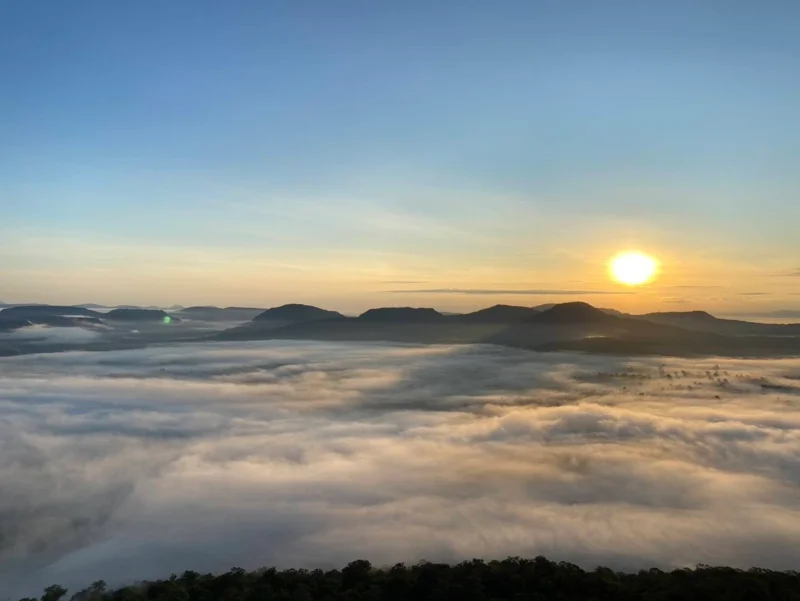 ทะเลหมอกผาชะนะได (ภาพจาก: Facebook อุทยานแห่งชาติผาแต้ม Phataem National Park 9 พ.ย. 68)