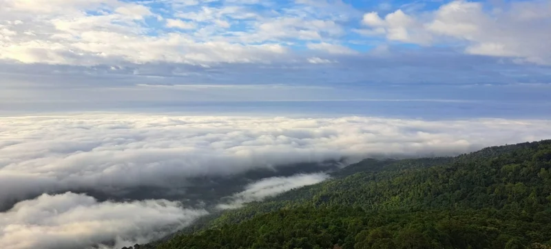 ทะเลหมอกเขาหลวง (ภาพจาก: Facebook อุทยานแห่งชาติรามคำแหง - Ramkhamhaeng National Park 1 มิ.ย. 68)
