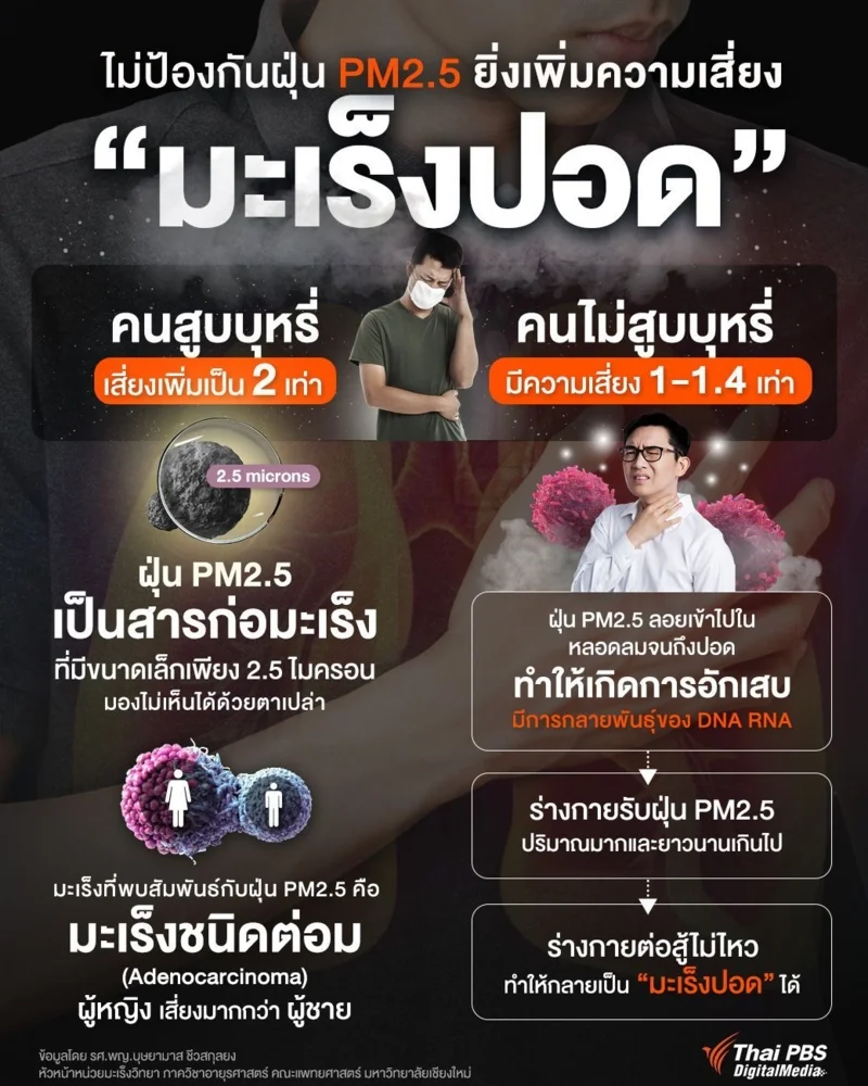 ไม่ป้องกันฝุ่น PM2.5 ยิ่งเพิ่มความเสี่ยง มะเร็งปอด