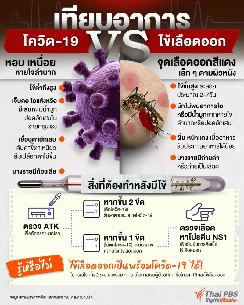 อาการโควิด-19 ต่างจากไข้เลือดออกอย่างไร ?
