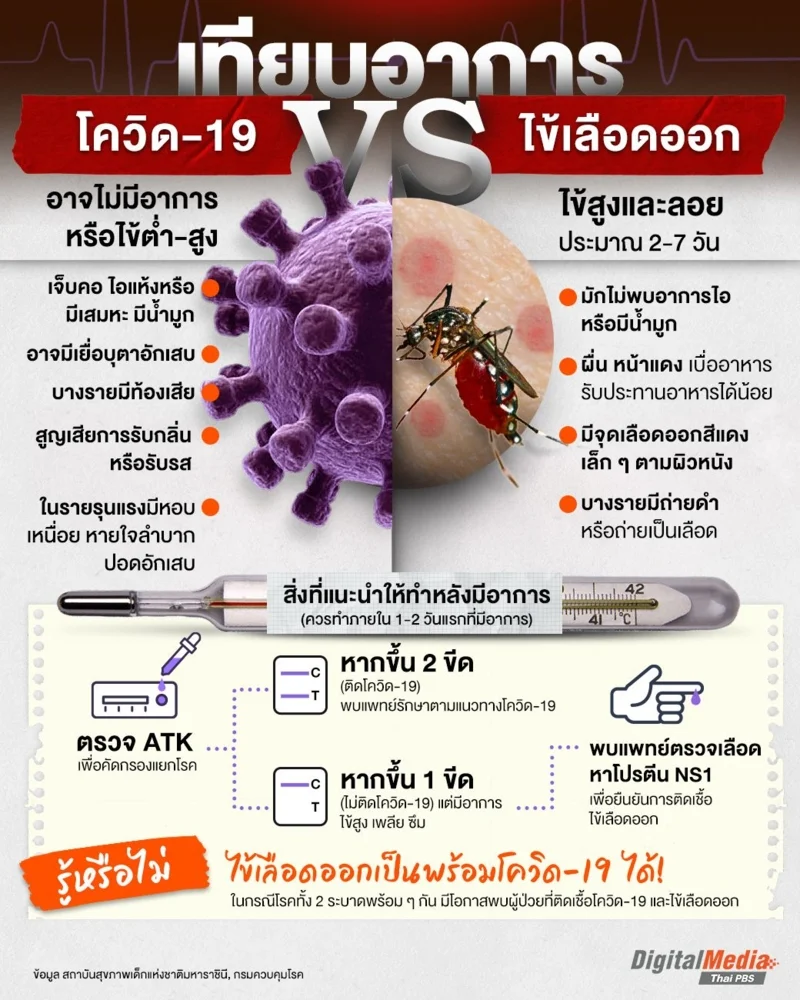 เทียบอาการ &ldquo;โควิด-19 Vs ไข้เลือดออก&rdquo;