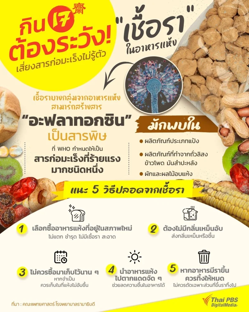 กินเจต้องระวัง &ldquo;เชื้อรา&rdquo; ในอาหารแห้ง
