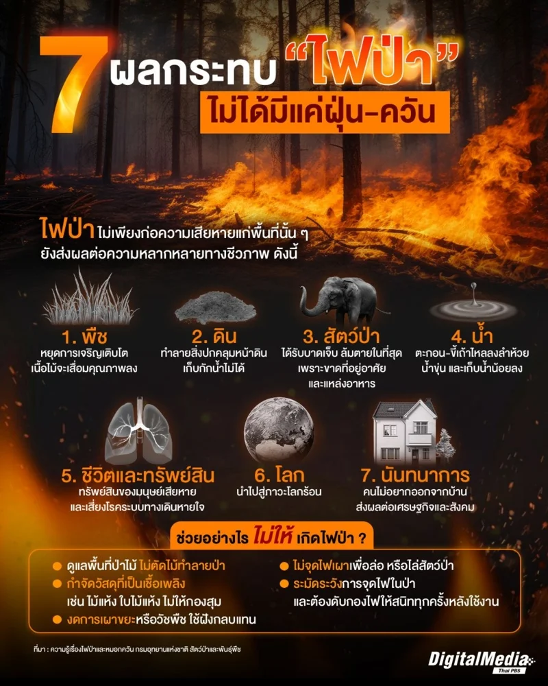 7 ผลกระทบไฟป่า ไม่ได้มีเพียงฝุ่นควัน