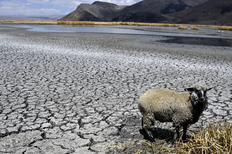 สภาพทะเลสาบติติกากา (Titicaca Lake) อันแห้งแล้งในฝั่งโบลิเวีย เมื่อปี พ.ศ. 2566 (ภาพจาก: Aizar Raldes/AFP)