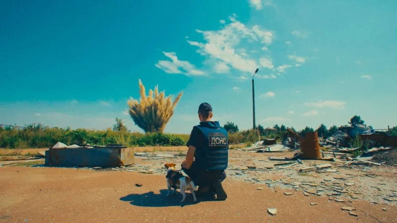 ภาพจากสารคดี US, Our Pets and The War