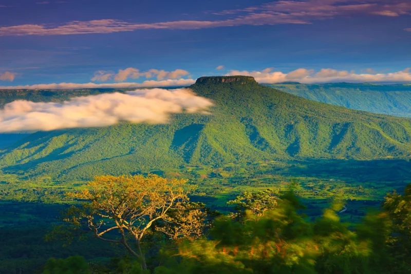 ภูป่าเปาะ ภาพจากการท่องเที่ยวแห่งประเทศไทย