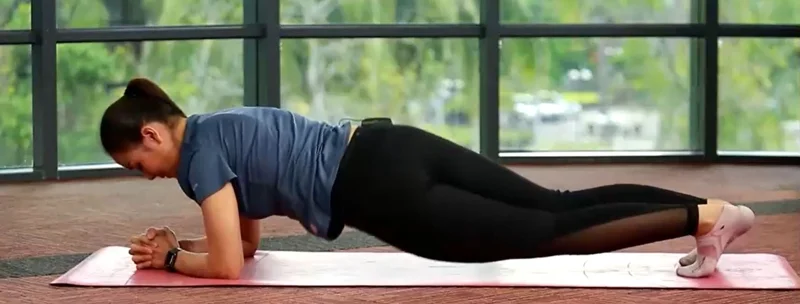 plank twist บิดซ้าย-ขวา