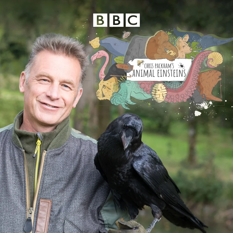 Chris Packham ผู้ผลิตสารคดี Animal Einsteins สัตว์อัจฉริยะระดับไอน์สไตน์