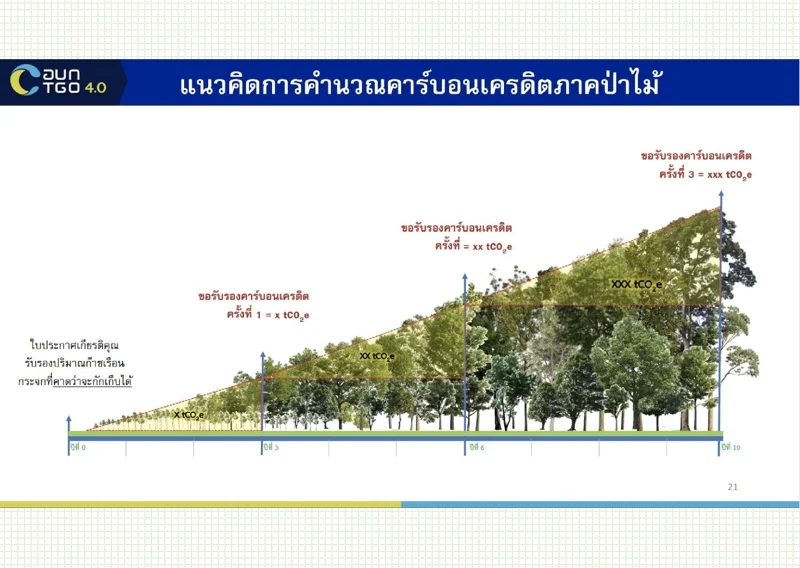แนวคิดการคำนวณคาร์บอนเครดิต
