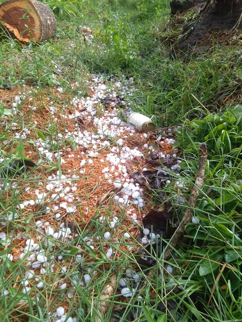 ลูกเห็บตก เนื่องจากพายุฤดูร้อน อ.สะเมิง จ.เชียงใหม่ วันที่ 24 เม.ย. 66