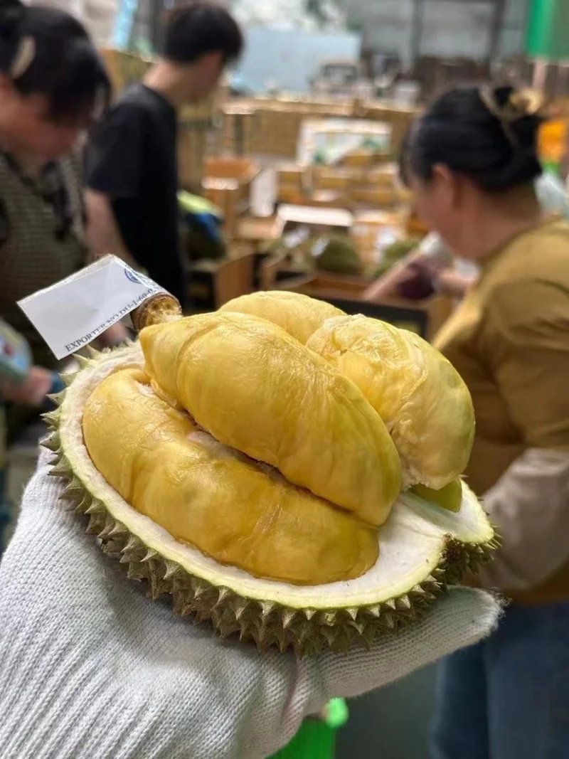 พนักงานโชว์ทุเรียนไทยที่จำหน่ายในร้านผลไม้ที่เมืองหนานหนิง เขตปกครองตนเองกว่างซีจ้วงทางตอนใต้ของจีน ภาพซินหัว