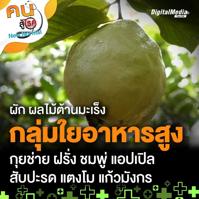 กลุ่มใยอาหารสูง