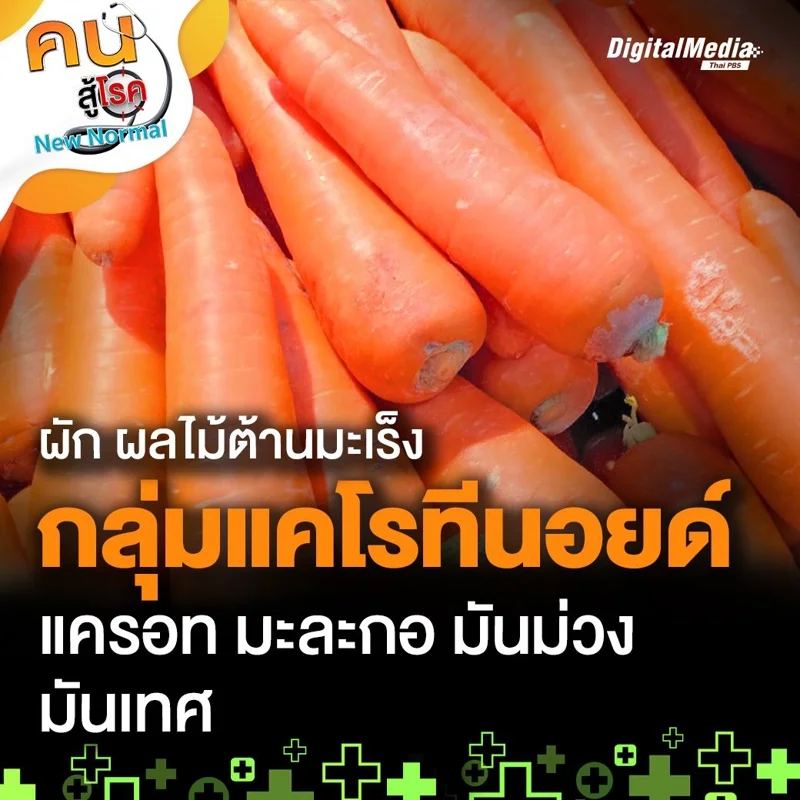 กลุ่มแคโรทีนอยด์