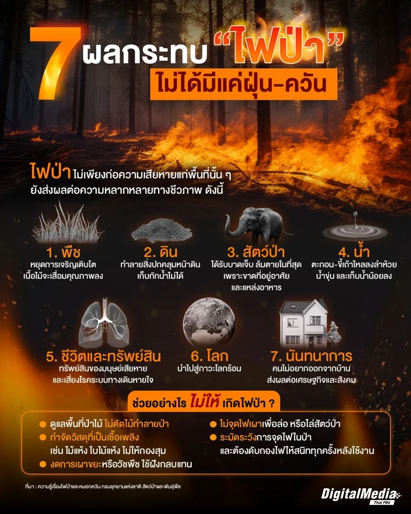 7 ผลกระทบไฟป่า ไม่ได้มีเพียงฝุ่นควัน