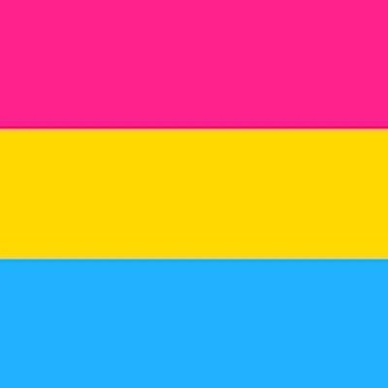 Pansexual Pride Flag.jpg