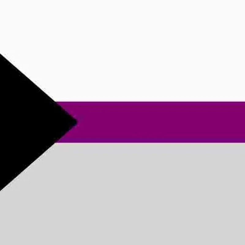 Demisexual Pride Flag.jpg
