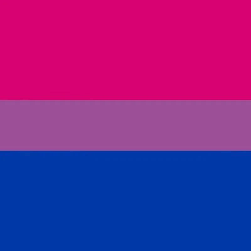 Bisexual Pride Flag.jpg
